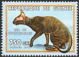 Stamp, Cats - Rex de Cornouailles, Guinea,  , Animals (Fauna), Cats, Mammals