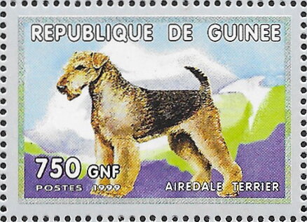 Dogs - Airedale Terrier