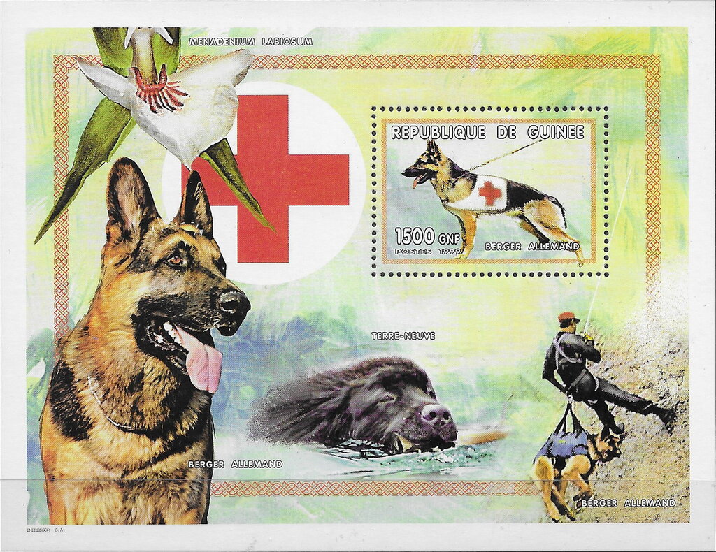 Dogs - Berger Allemand