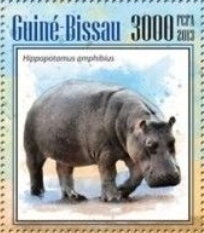 Hippopotamus (Hippopotamus amphibius)