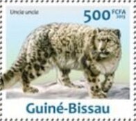 Snow Leopards