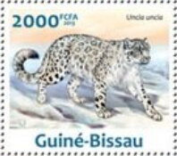 Snow Leopards