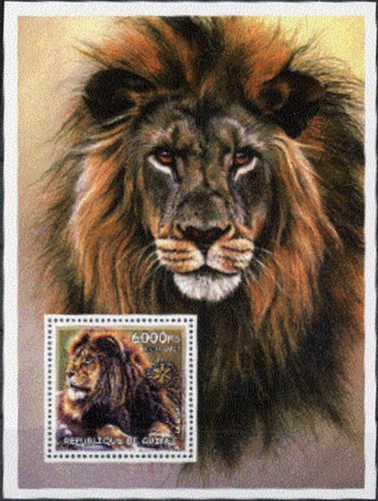 Lions