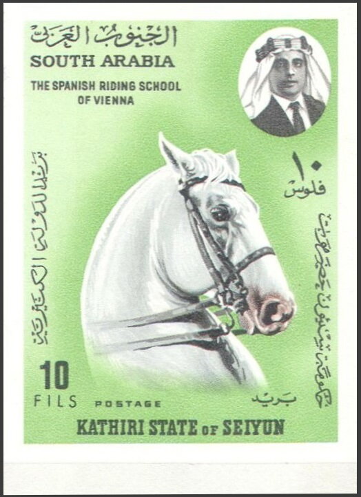 Spanish Riding School, Vienna (Equus ferus caballus)