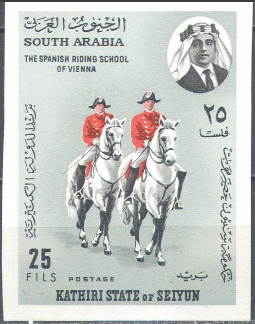 Spanish Riding School, Vienna (Equus ferus caballus)