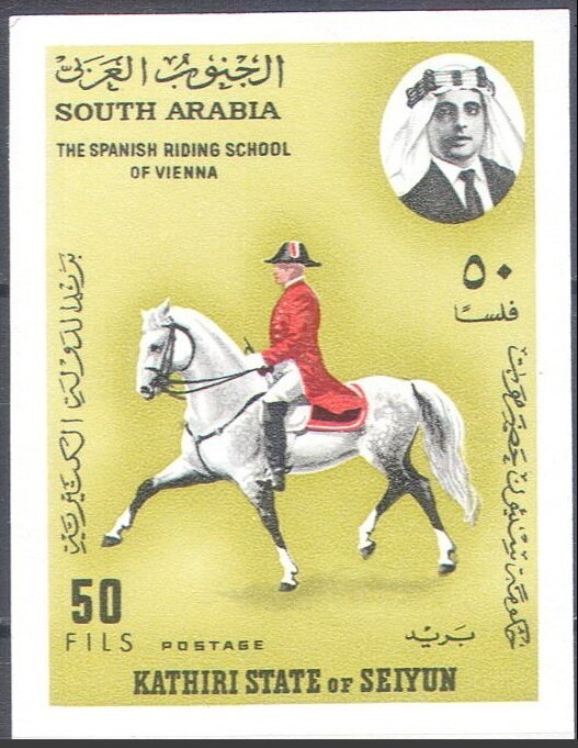Spanish Riding School, Vienna (Equus ferus caballus)