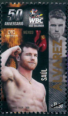 Saúl Álvarez, Boxer