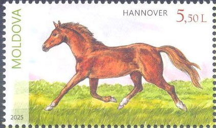 Hannover