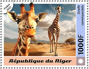 Giraffes (Giraffa camelopardalis)