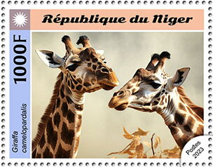 Giraffes (Giraffa camelopardalis)