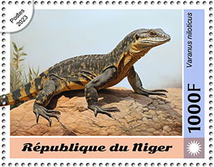 Varanus niloticus