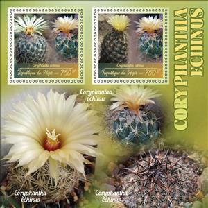 Mini Sheet, Cactus - Coryphantha echinus, Niger,  , Cacti, Plants (Flora)