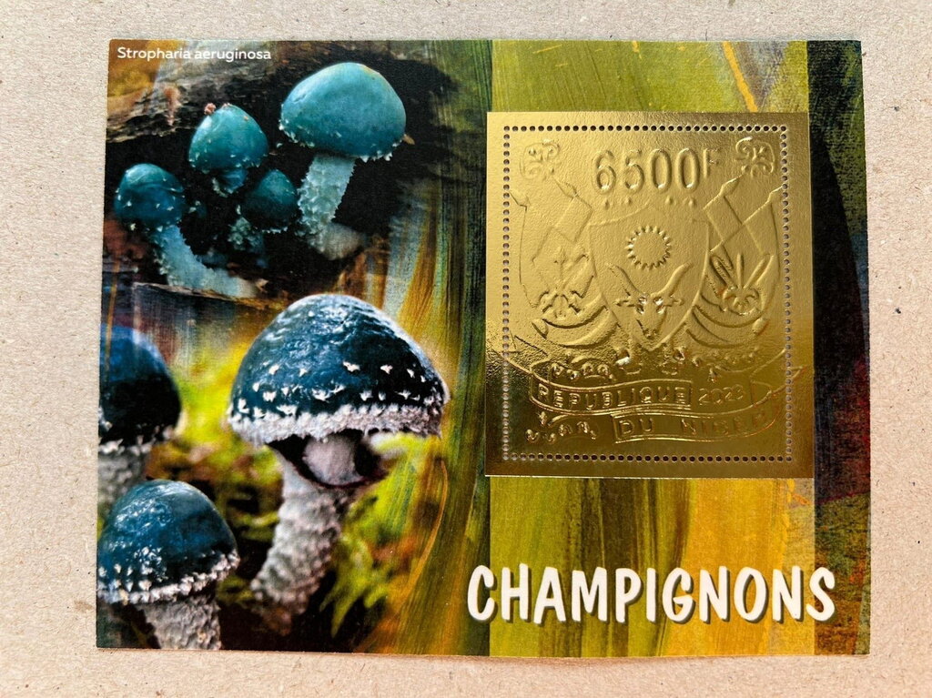 Mushrooms - Foil Coat of Arms