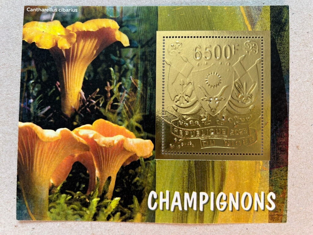 Mushrooms - Foil Coat of Arms