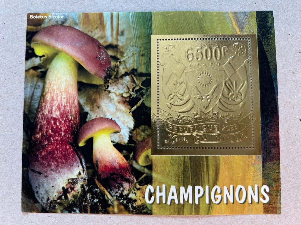 Mushrooms - Foil Coat of Arms