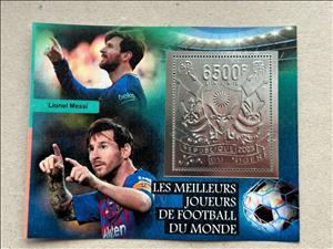 Souvenir Sheet, World Cup Football Soccer - Foil Coat of Arms, Niger,  , Coats of Arms, Football (Soccer), Sports