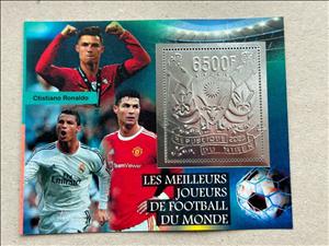 Souvenir Sheet, World Cup Football Soccer - Foil Coat of Arms, Niger,  , Coats of Arms, Football (Soccer), Sports