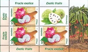 Mini Sheet, Dragonfruit, Romania,  , Fruits and Berries, Plants (Flora)
