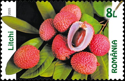 Stamp, Lychee, Romania,  , Fruits and Berries, Plants (Flora)