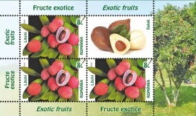 Mini Sheet, Lychee, Romania,  , Fruits and Berries, Plants (Flora)
