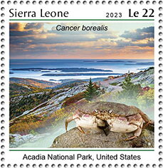 Acadia National Park, United States, Cancer borealis
