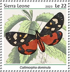 Callimorpha dominula