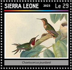 Stamp, Chaetocercus jourdanii, Sierra Leone,  , Animals (Fauna), Birds, Hummingbirds