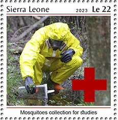 Mosquitoes Collection for Studies