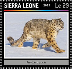 Stamp, Panthera uncia, Sierra Leone,  , Animals (Fauna), Leopards, Mammals, Wild Cats