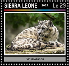 Stamp, Panthera uncia, Sierra Leone,  , Animals (Fauna), Leopards, Mammals, Wild Cats