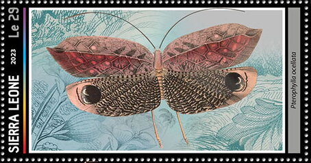 Stamp, Pterophylla ocellata, Sierra Leone,  , Animals (Fauna), Butterflies and Moths, Insects