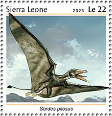 Sordes pilosus