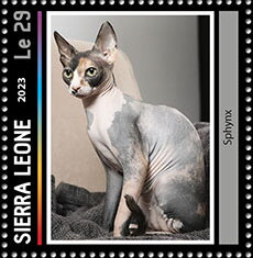 Sphynx