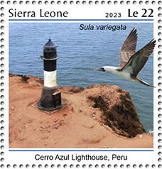 Sula variegata, Cerro Azul Lighthouse, Peru
