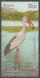 Stamp, Asian Openbill Stork (Anastomus oscitans), Sri Lanka,  , Animals (Fauna), Birds, Forests, Storks