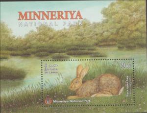 Souvenir Sheet, Black-Naped Hare (Lepus nigricollis), Sri Lanka,  , Animals (Fauna), Forests, Hares, Mammals