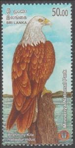 Stamp, Brahminy Kite (Haliastur indus), Sri Lanka,  , Animals (Fauna), Birds, Forests