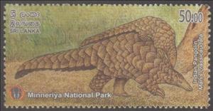Stamp, Indian Pangolin (Manis crassicaudata), Sri Lanka,  , Animals (Fauna), Forests, Mammals
