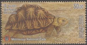 Stamp, Indian Star Tortoise (Geochelone elegans), Sri Lanka,  , Animals (Fauna), Turtles