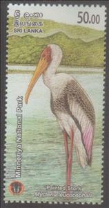 Stamp, Painted Stork (Mycteria leucocephala), Sri Lanka,  , Animals (Fauna), Birds, Forests, Storks