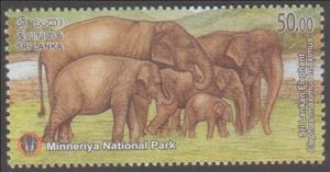 Stamp, Sri Lankan Elephant (Elephas maximus maximus), Sri Lanka,  , Animals (Fauna), Elephants
