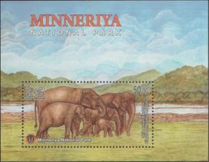 Souvenir Sheet, Sri Lankan Elephant (Elephas maximus maximus), Sri Lanka,  , Animals (Fauna), Elephants, Forestry, Mammals