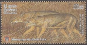 Stamp, Sri Lankan Jackal (Canis aureus naria), Sri Lanka,  , Animals (Fauna)