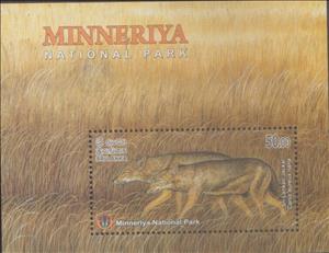 Souvenir Sheet, Sri Lankan Jackal (Canis aureus naria), Sri Lanka,  , Animals (Fauna), Forests, Foxes, Mammals