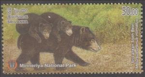 Stamp, Sri Lankan Sloth Bear (Melursus ursinus inornatus), Sri Lanka,  , Animals (Fauna), Bears, Forests, Mammals