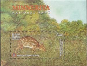 Souvenir Sheet, Yellow-Striped Chevrotain (Moschiola kathygre), Sri Lanka,  , Animals (Fauna), Forests, Mammals