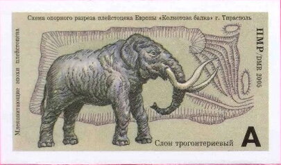 Stamp, Mammoth (Mammuthus sp.), Transnistria,  , Animals (Fauna), Elephants, Mammals, Prehistoric Animals