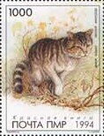 Stamp, Wildcat (Felis sp.), Transnistria,  , Animals (Fauna), Mammals, Wild Cats