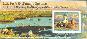 Souvenir Sheet, Spectacled eider (Somateria fischeri), United States of America,  , Animals (Fauna), Birds, Ducks