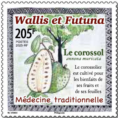 Soursop (Annona muricata)